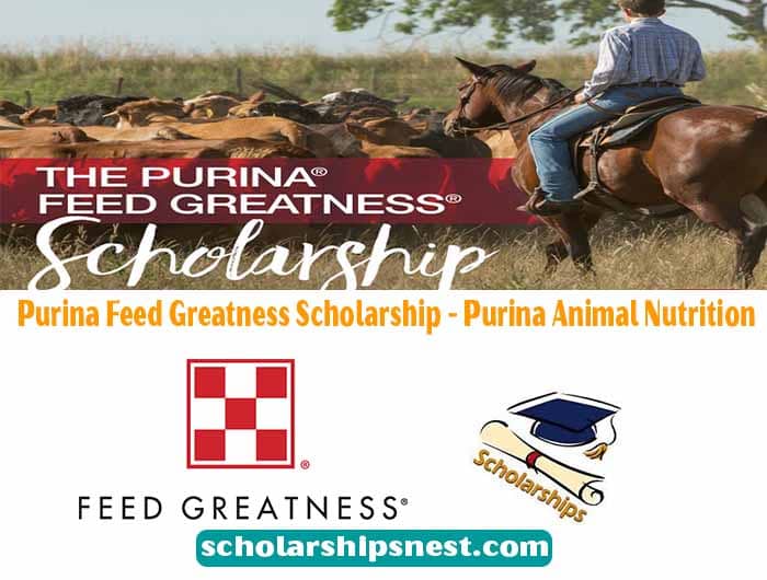purina feed greatness scholarship